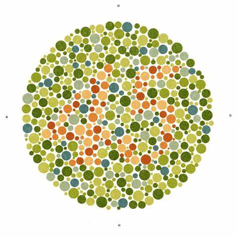 Imagen de evaluación visual